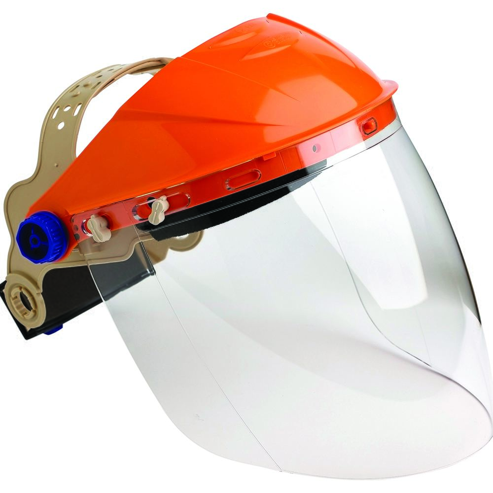 BGVC image