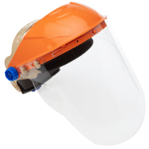 Browguard / Visor Combo